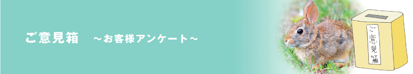 ӌ