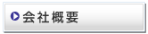 ЊTv